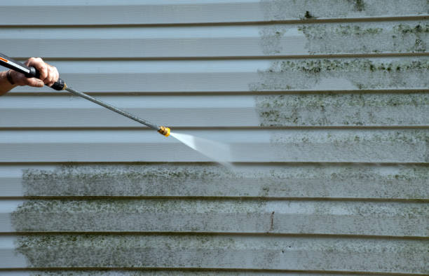 Best Garage Pressure Washing  in Mount Prospect, IL